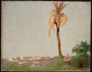 Tumba del santo - Paisaje con una palmera. De un viaje a la India de Jan Ciągliński
