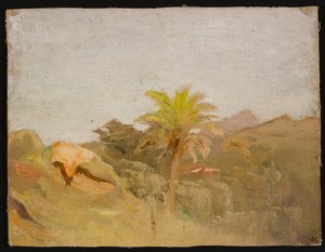 Palme auf Ceylon. Aus einer Reise nach Indien