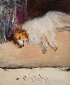 Estudio de un perro dormido para el "Retrato del príncipe Golitsyn" de Jan Ciągliński