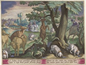 Hertenjacht conoció a honden Jachttaferelen (título de la serie) La caza de animales salvajes, aves y peces en el Bestiario (título de la serie) de Jan Collaert