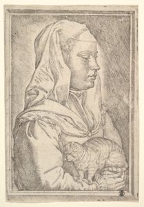 Niña con un gato, 1546 de Jan Cornelisz Vermeyen