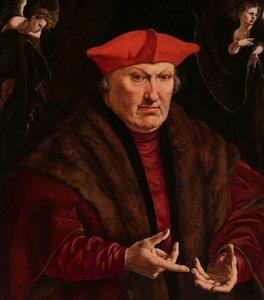 Retrato de Erard de la Marck
Retrato de Erard de la Marck de Jan Cornelisz Vermeyen