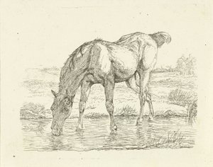 caballo bebiendo de Jan Dasveldt