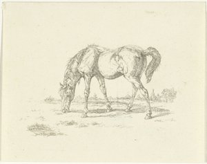 Caballo pastando a la derecha de Jan Dasveldt