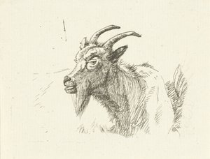 Cabra reclinada de Jan Dasveldt