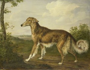 Galgo siberiano de Jan Dasveldt