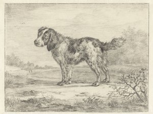 Spaniel de pie en un paisaje de Jan Dasveldt
