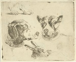 Ficha de estudio con dos cabezas de perro, patas de perro y cabeza de liebre de Jan Dasveldt