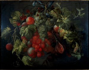 Holandés: Festón de frutas