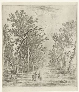 camino del bosque de Jan Fouceel