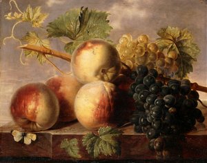 Melocotones y uvas con una mariposa blanca en un borde de mármol de Jan Frans van Dael