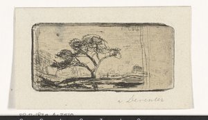 paisaje con arbol