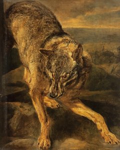 Un lobo de Jan Fyt