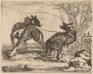 Dos galgos, atados y enfrentados