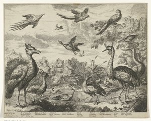 Diferentes pájaros en un paisaje. de Jan Griffier (I) (copy after)