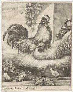 gallo y gallina de Jan Griffier (I)