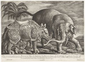 Olifant en Neushoorn Una verdadera representación de las dos grandes obras maestras de la naturaleza, el elefante y el rinoceronte (título sobre el objeto) de Jan Griffier (I)