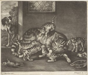 Gato con cinco niños