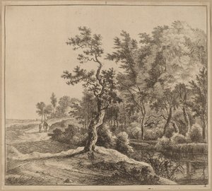 Paisaje con un camino serpenteante de Jan Hackaert