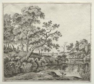 El árbol curvado de Jan Hackaert