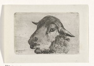 cabeza de oveja de Jan Heppener