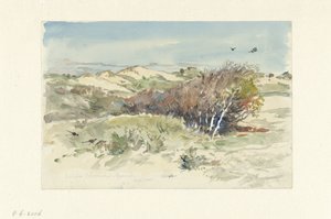 Paisaje de dunas entre Bloemendaal e IJmuiden