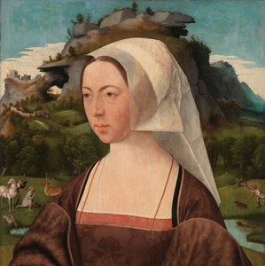 Retrato de una mujer desconocida
Retrato de una mujer de Jan Jansz Mostaert