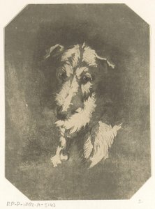 cabeza de galgo de Jan Karel Jacob de Jonge