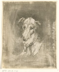 cabeza de galgo de Jan Karel Jacob de Jonge