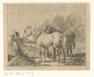 Pasto con dos caballos