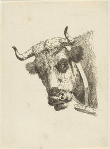 cabeza de vaca