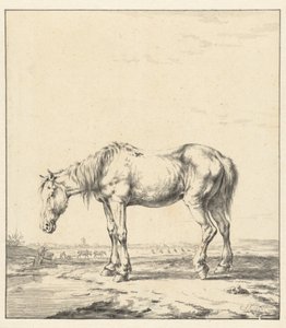 Caballo viejo parado junto a un agua de Jan Kobell (II)