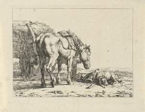 Caballo y perro en un segador