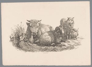 Vaca, carnero y dos ovejas Beesten Studien por J. Kobell después de Paul Potter Nr. 1 (título de la serie) de Jan Kobell (III)