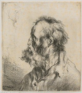  de Jan Lievens