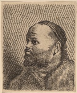 Busto de un hombre con labios gruesos de Jan Lievens