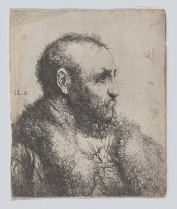 Busto de un anciano con cuello de piel de Jan Lievens