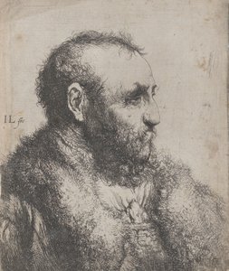 Busto de un anciano con cuello de piel, siglo XVII de Jan Lievens
