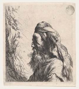 Hombre con turbante mirando hacia la izquierda de Jan Lievens