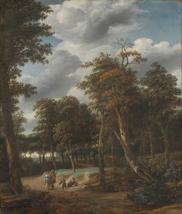 Camino del bosque de Jan Looten