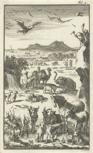 La criatura de Jan Luyken