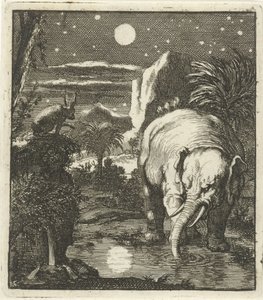 Liebre y elefante con luna llena en una fuente de agua de Jan Luyken