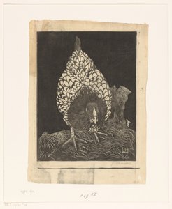 Silverwyandotte de Jan Mankes (signed by artist)