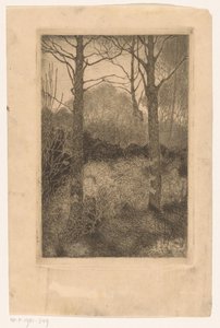 Bosrand de Jan Mankes