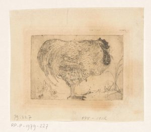 Gallo acurrucado de Jan Mankes