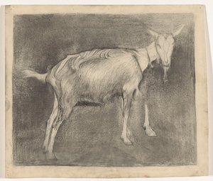 Cabra de pie de Jan Mankes