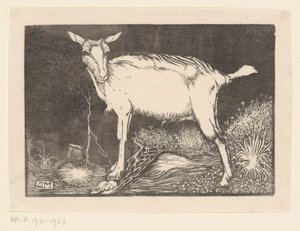 Cabra blanca de Jan Mankes