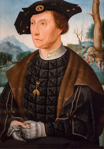 Retrato de Jan van Wassenaer vizconde de Leiden, gobernador de Frisia de Jan Mostaert