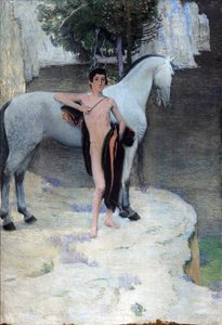 El lago negro de Jan Preisler