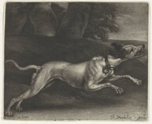 perro corriendo de Jan Verkolje (I)